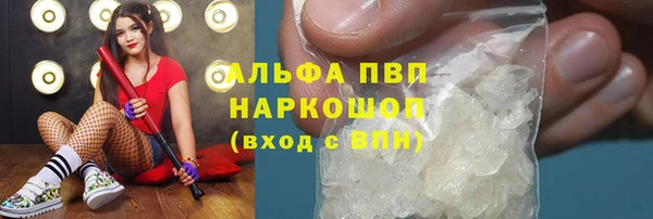 индика Александровское