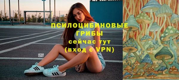 стаф Абаза