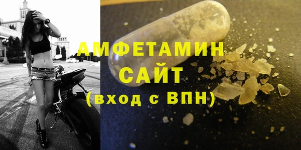мет Алексин