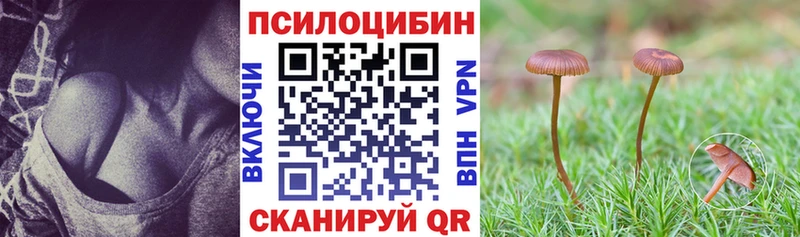 Галлюциногенные грибы Magic Shrooms  Вилюйск 